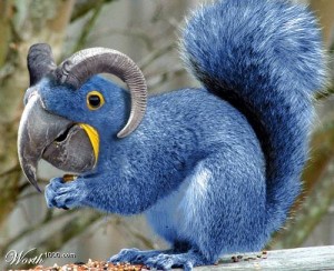 animal16.jpg