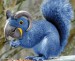 animal16.jpg